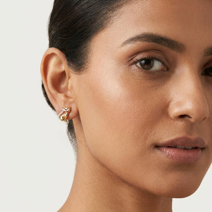 Golden Cat Zircon Stud Earrings